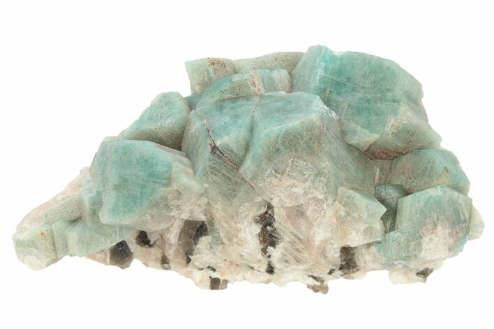 Amazonite Crystal Cluster - Lake George, Colorado #234643